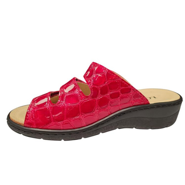 Longo 1143578 1143578 large