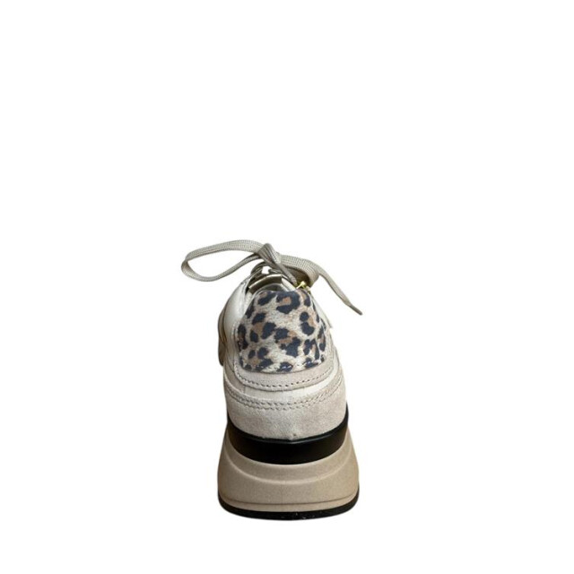 Gabor 66.368 Veterschoenen Beige 66.368 large
