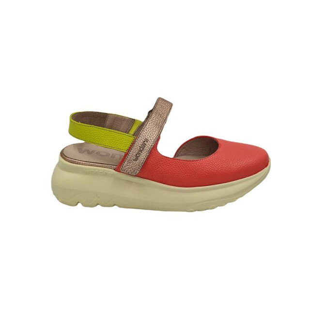 Wonders A-4004 A-4004 large