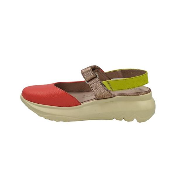 Wonders A-4004 A-4004 large