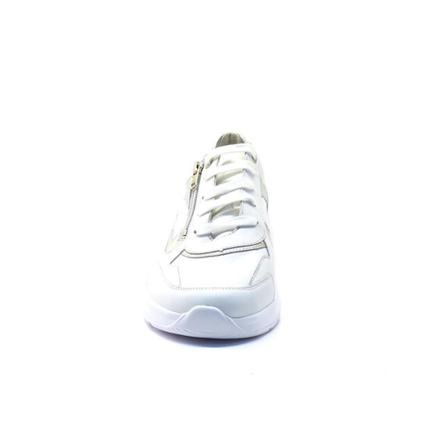 Solidus 54501 kitty 501 54501 Kitty large