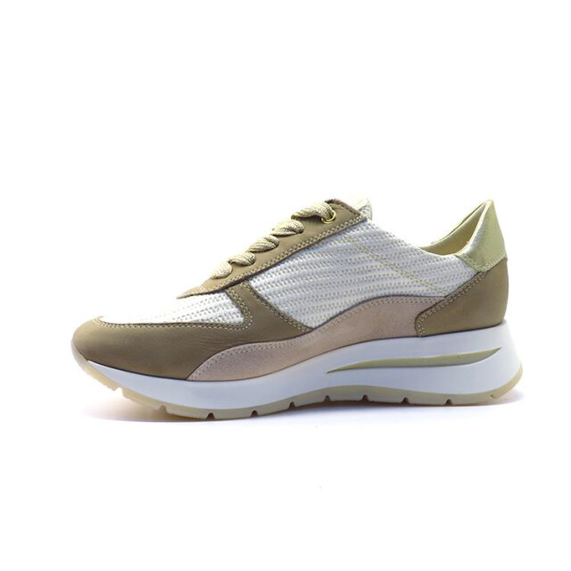 DL Sport 6561 6561 large