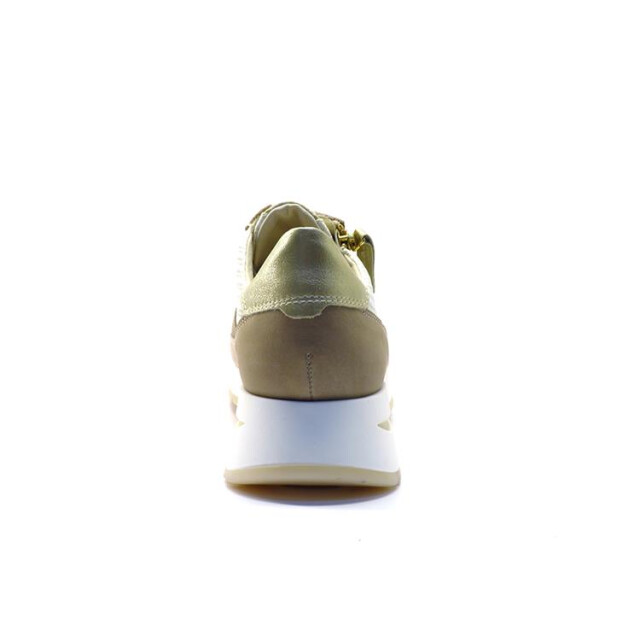 DL Sport 6561 6561 large