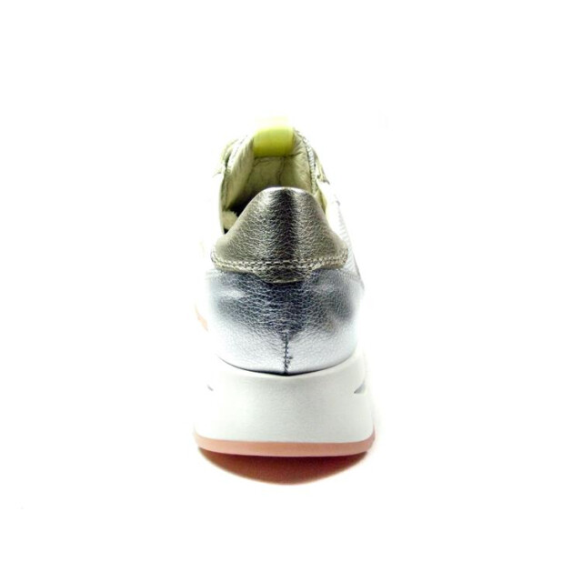 DL Sport 6559 6559 large