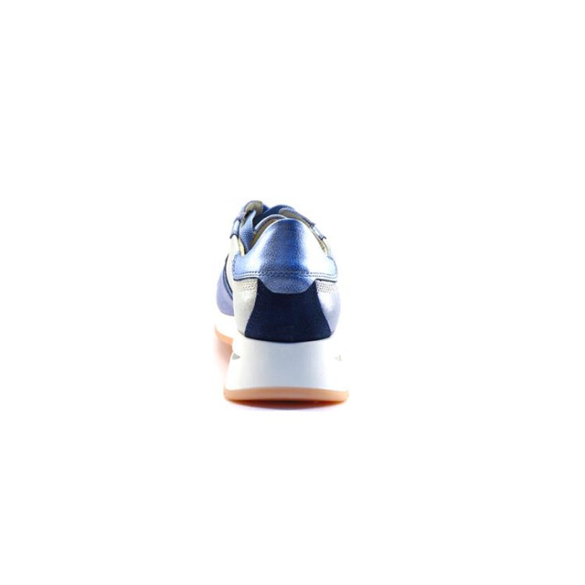 DL Sport 6562 6562 large