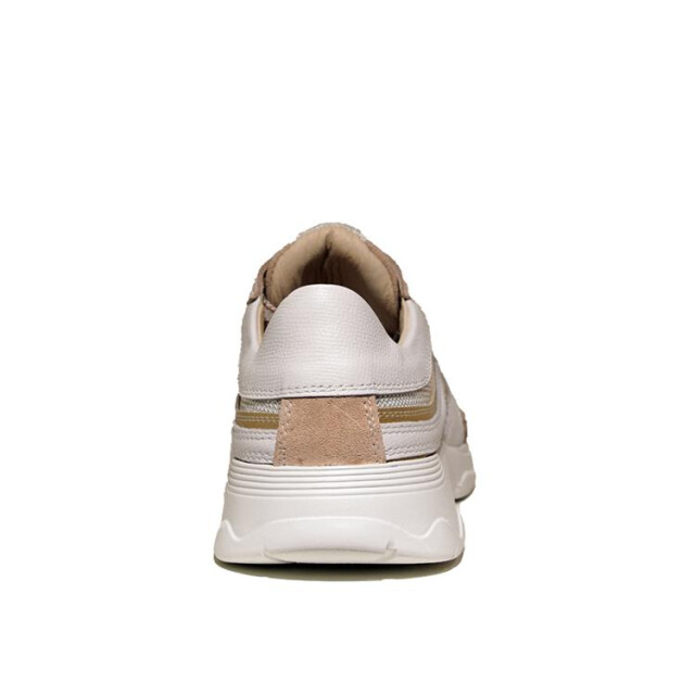 DL Sport 6540 6540 large