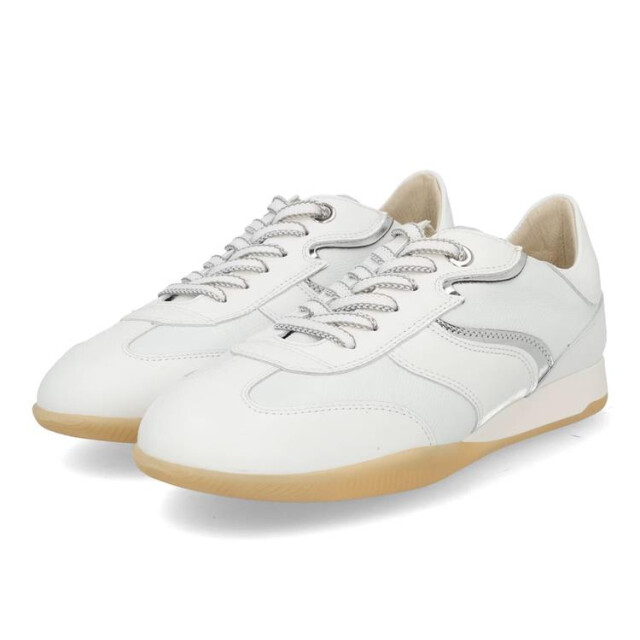 DL Sport 6572 6572 large