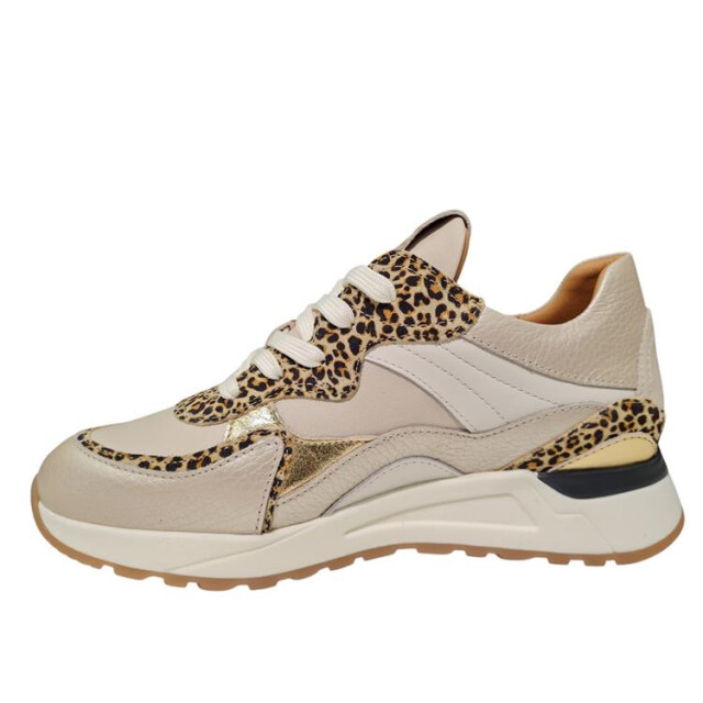 Piedi Nudi 11.30 Wijdte H Sneakers Print / Multi 11.30 Wijdte H large