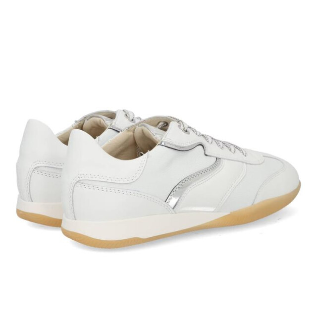 DL Sport 6572 6572 large