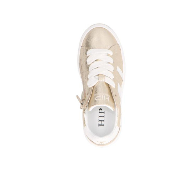 HIP H1811 H1811 large