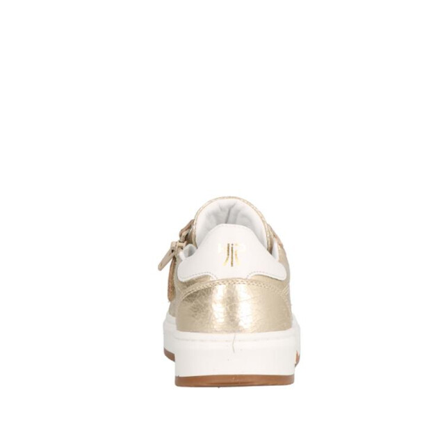HIP H1811 H1811 large