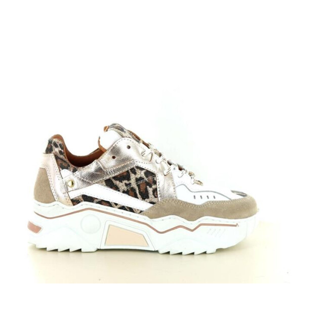 DWRS Label Pluto leopard Pluto Leopard large