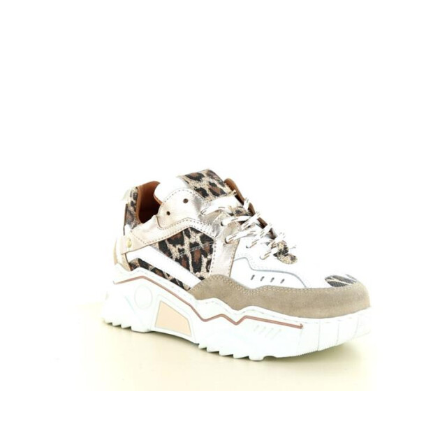DWRS Label Pluto leopard Pluto Leopard large