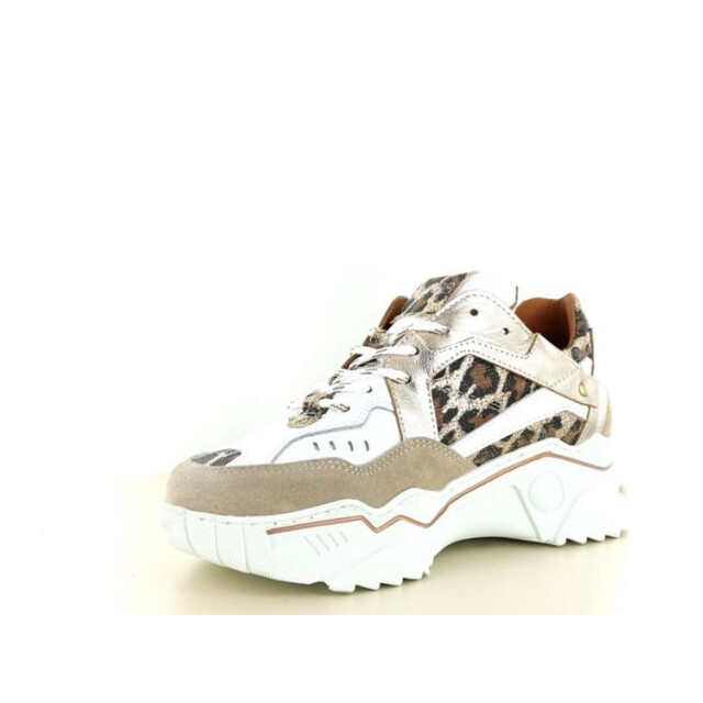 DWRS Label Pluto leopard Pluto Leopard large