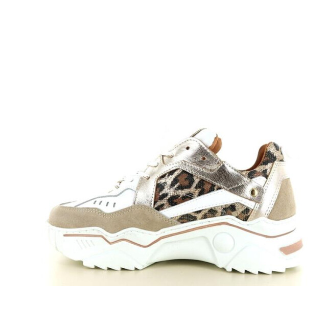 DWRS Label Pluto leopard Pluto Leopard large