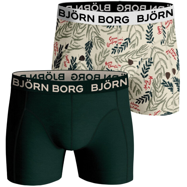 Björn Borg 2-pack core boxers 10000801-MP001-M large