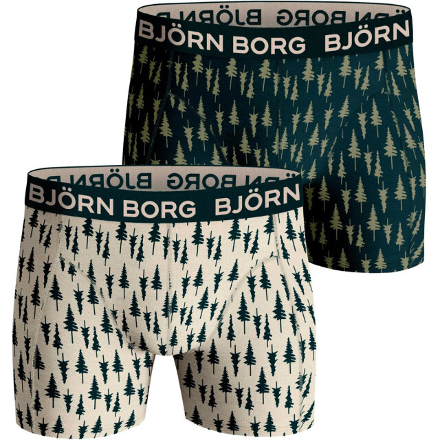 Björn Borg 2-pack core boxers 10000801-MP002-M large