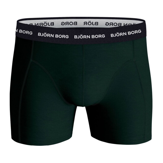 Björn Borg 10-pack boxers essential winter giftbox 10000813-MP001-L large