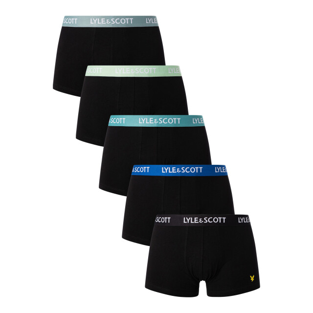 Lyle and Scott Miller 5-pack boxers LS5UW005-699-S large