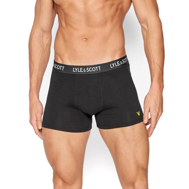 Lyle and Scott Tyler 10-pack boxers LS10UW002-315-S large