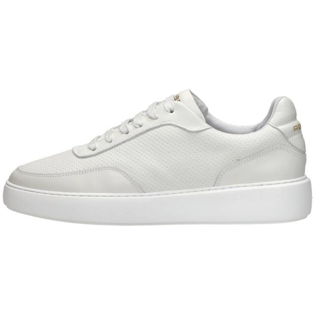 Rehab Taylor 2212 655108/0700 large