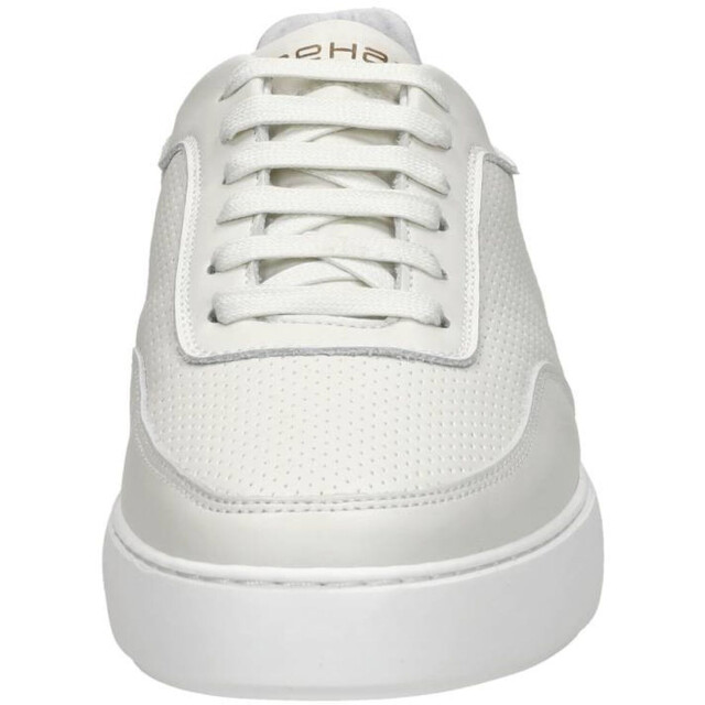 Rehab Taylor 2212 655108/0700 large