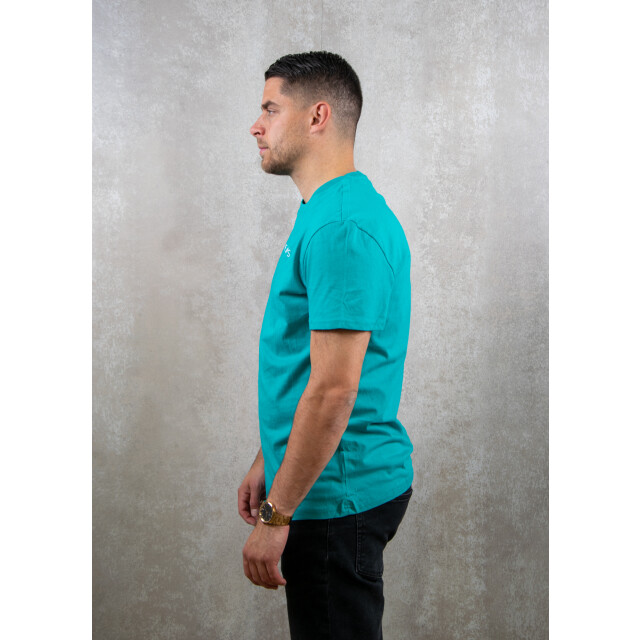 Tommy Hilfiger Tjm reg linear logo tee ext 100.41.0103 large