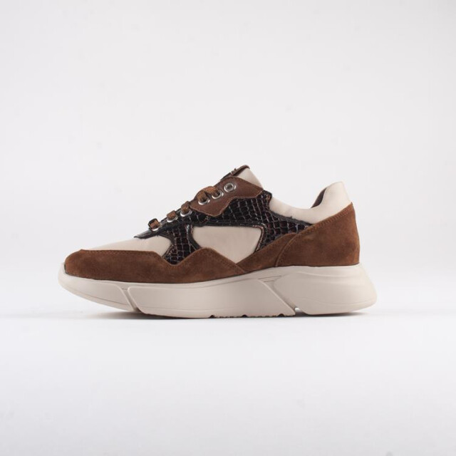 Footnotes 61.002 wijdte h 61.002 Wijdte H large