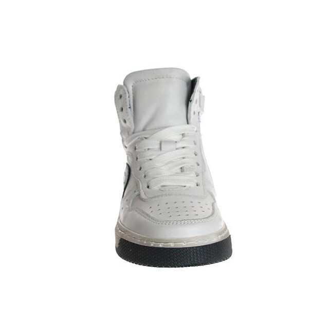 HIP H1301 H1301 large