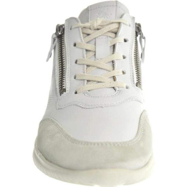 Hartjes 162.1138 162.1138 large