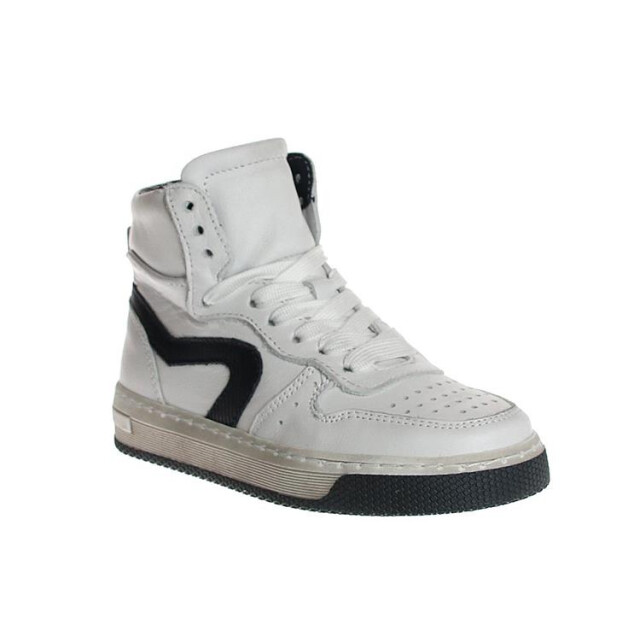 HIP H1301 H1301 large