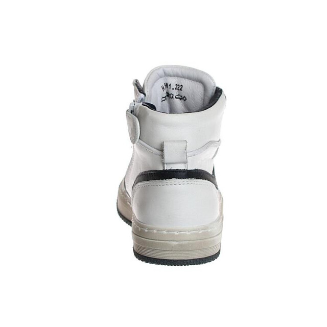 HIP H1301 H1301 large