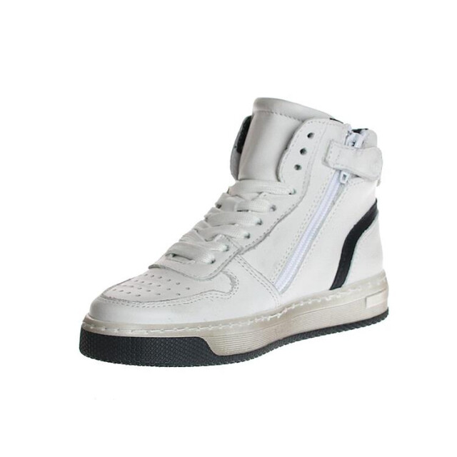 HIP H1301 H1301 large