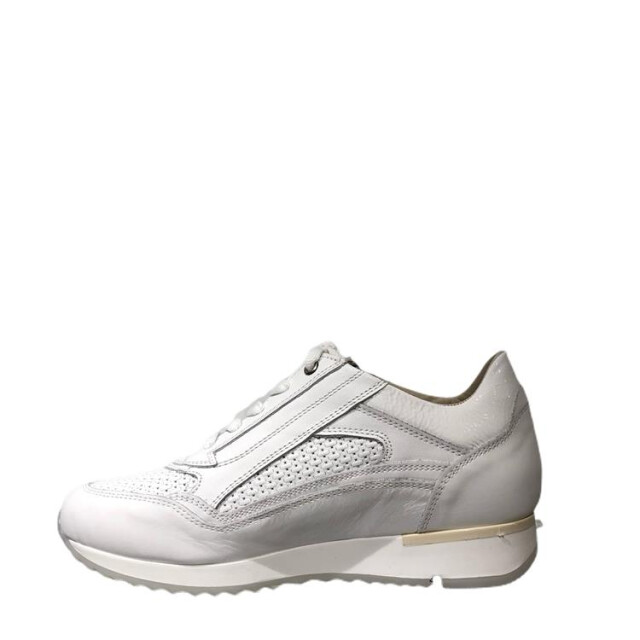 DL Sport 6216 6216 large