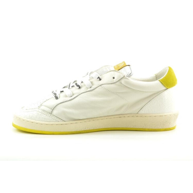 AMA brand 2832 sun 2832 Sun large