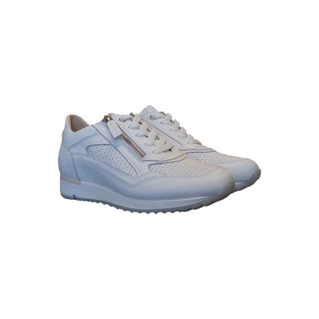 DL Sport 6216 6216 large
