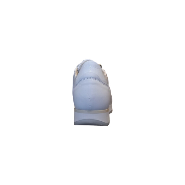 DL Sport 6216 6216 large