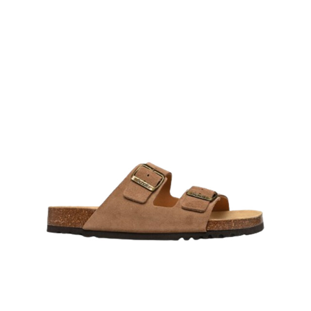 Scholl Julien sue-m Julien_sue-M large