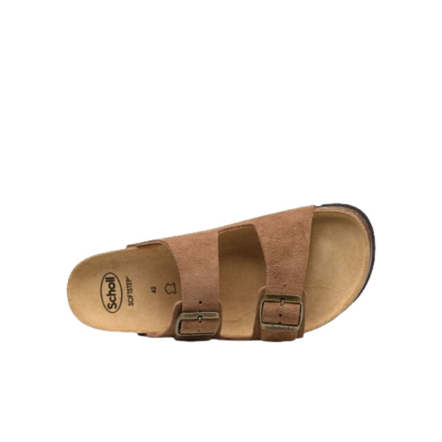 Scholl Julien sue-m Julien_sue-M large