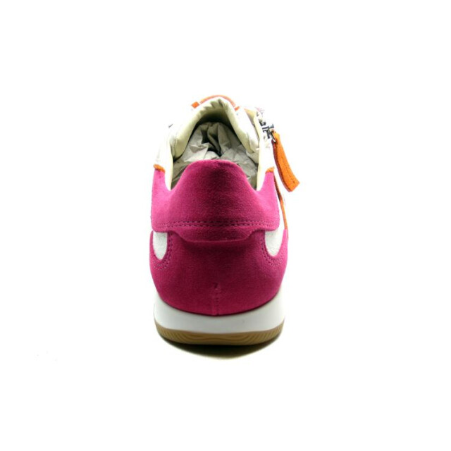 DL Sport 6257 6257 large