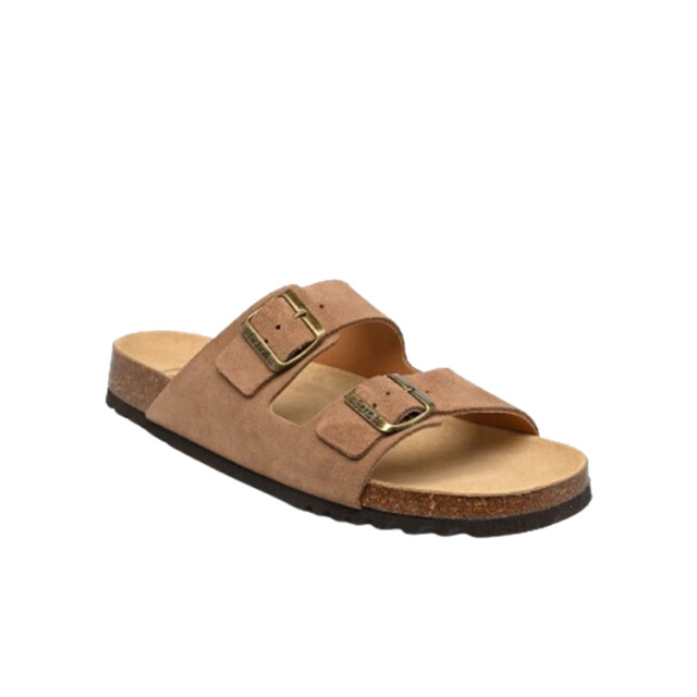 Scholl Julien sue-m Julien_sue-M large