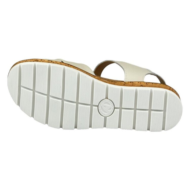 Longo 1126765 1126765 large