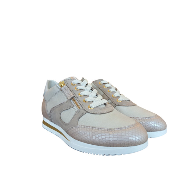 DL Sport 6251 6251 large