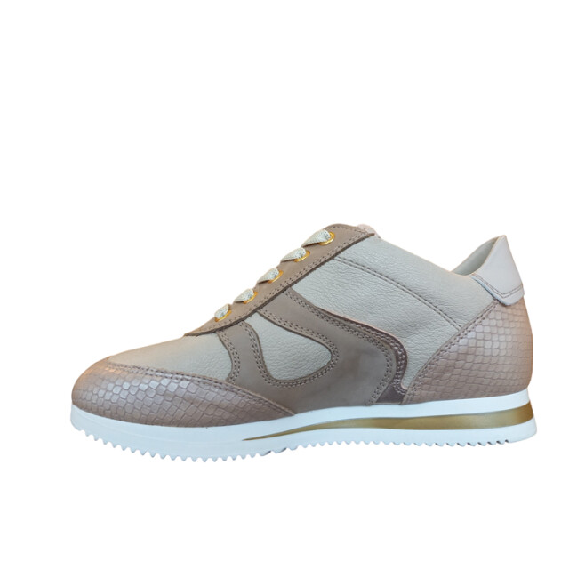 DL Sport 6251 6251 large