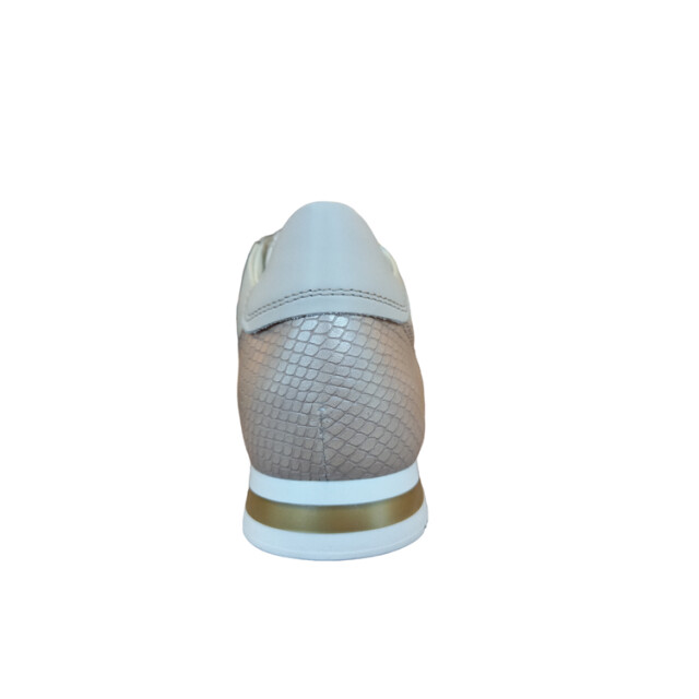 DL Sport 6251 6251 large