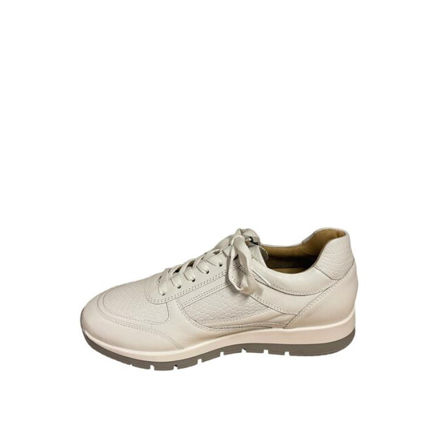 Helioform 249.001 249.001 large