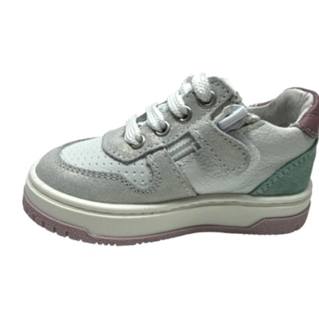 Develab 42866 42866 large