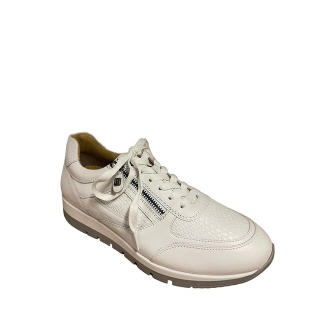 Helioform 249.001 249.001 large