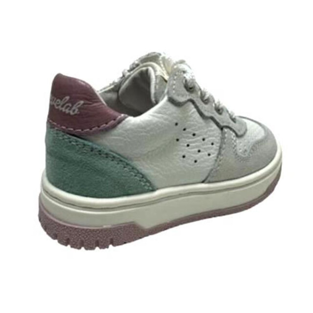 Develab 42866 42866 large