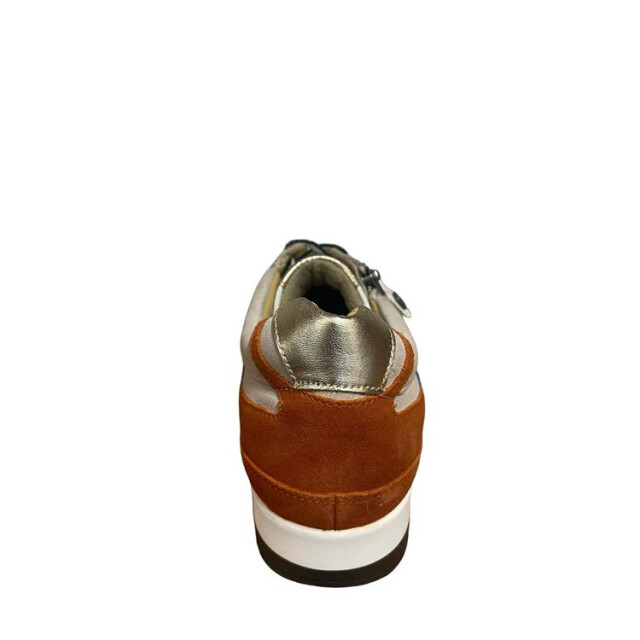 Helioform 281.003 281.003 large